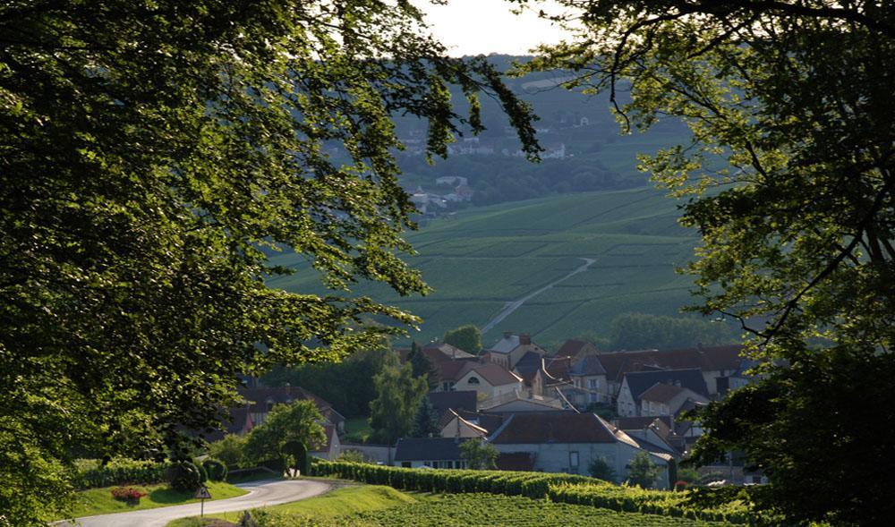 Gite Du " Bas Du Cru " Villa Romery  Exterior photo
